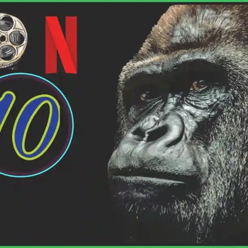 Netflix's 10 Documentaries That Will Change the Way You See the World.