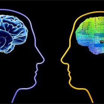 Emotional vs Cognitive intelligence