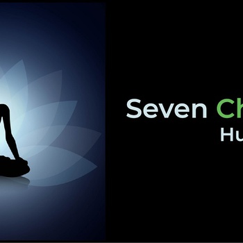 What are the 7 chakras in the human body?