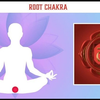 Everything about the root chakra