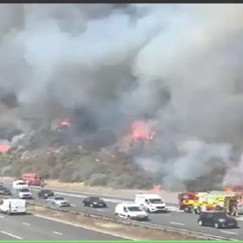 Latest News: Dartford Crossing A2 Wildfire London Fire Bridge