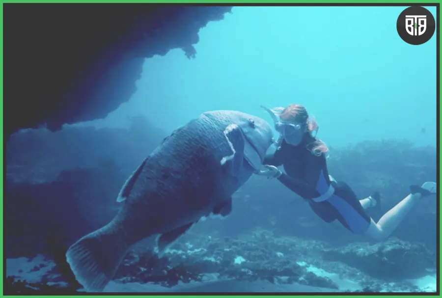 Blueback (2022) (2022), Latest Movie Releasing In March 2023