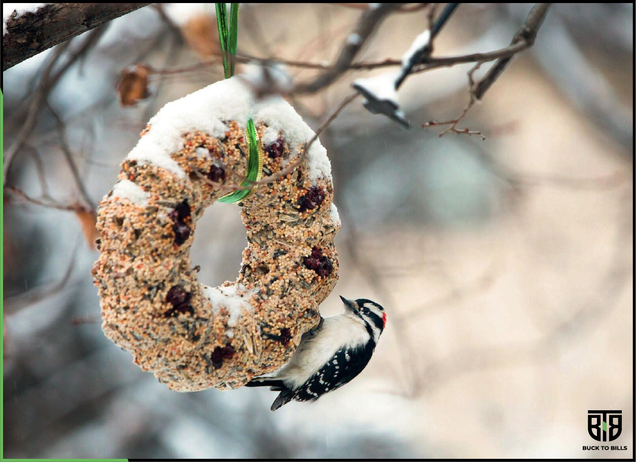 DIY Bird Feeder Wreath