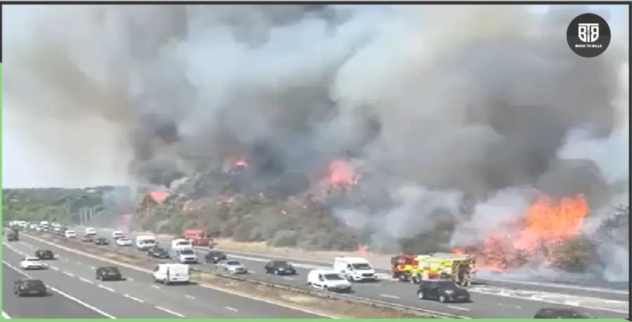 Latest News: Dartford Crossing A2 Wildfire London Fire Bridge