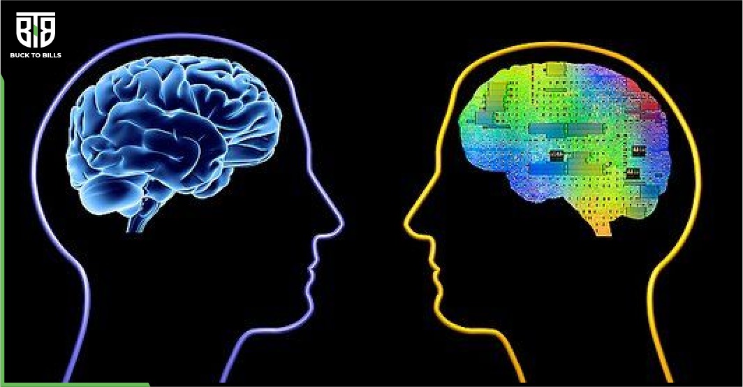 Emotional vs Cognitive intelligence