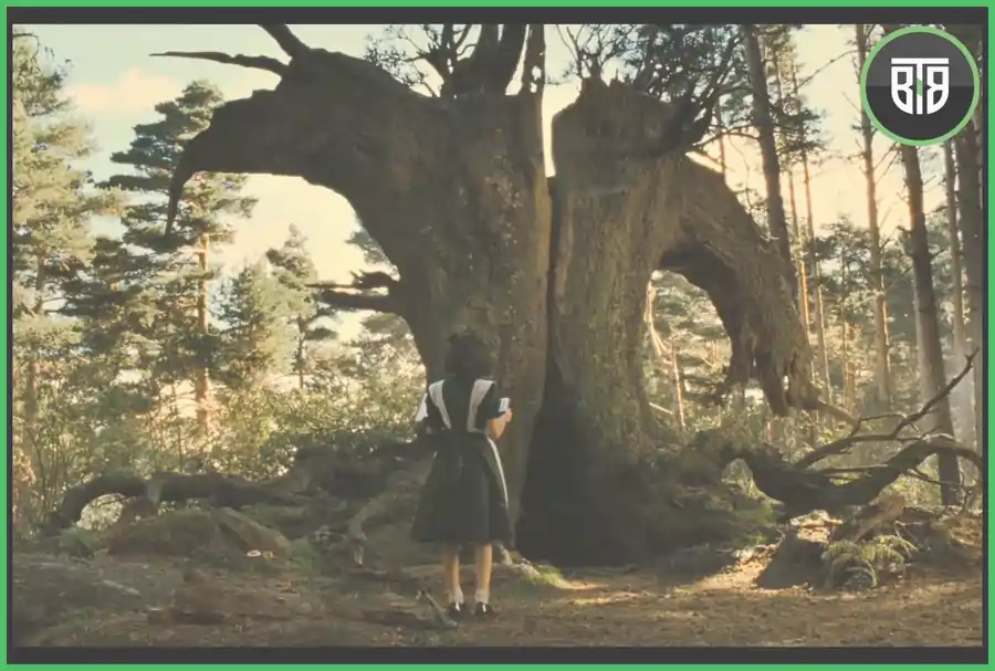 a girl is standing near a old tree in Pan's Labyrinth 2006, before trilogy criterion