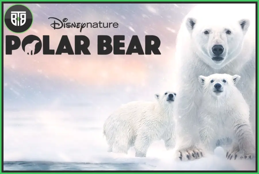 movie poster of Polar Bear, family movies on Disney plus