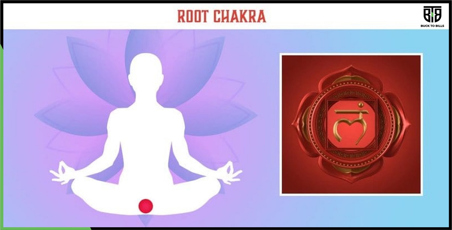 Everything about the root chakra