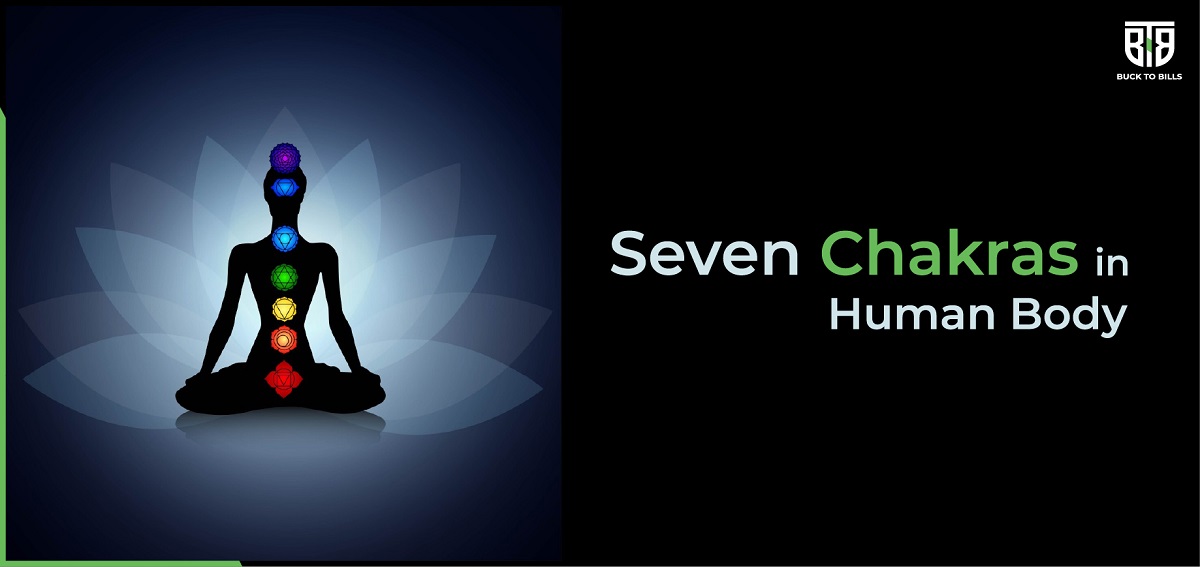 What are the 7 chakras in the human body?