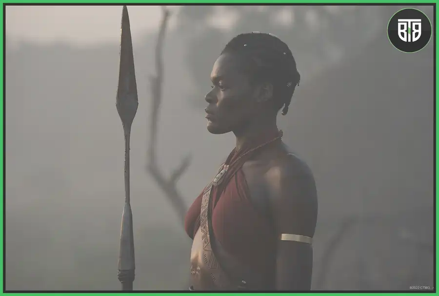 A solider is doing his duty in the night in a movie The Woman King,  the king's woman in hindi